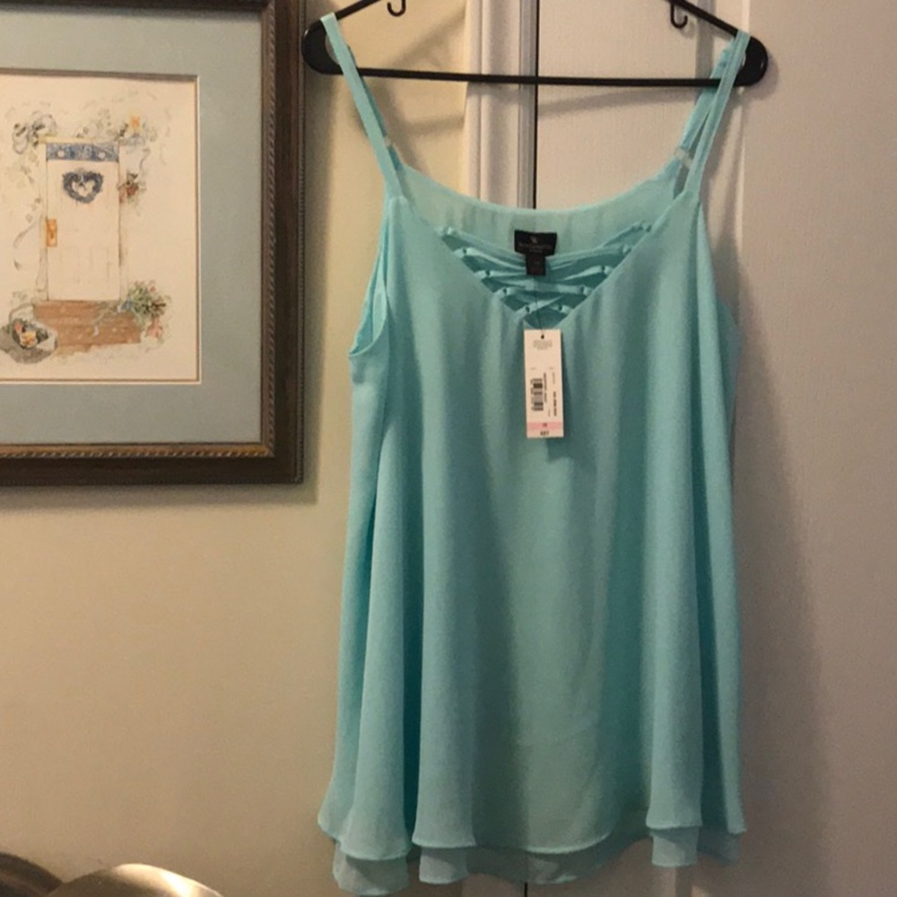 Gorgeous Robins Egg Blue dressy top   Size 1X NWT